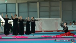 gymnaestrada rimini 2023 foto agati ferraro luc01319